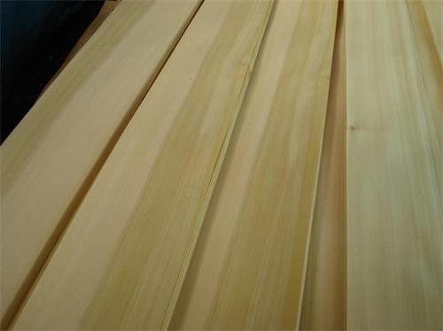 黃楊雙色 黃楊雙色